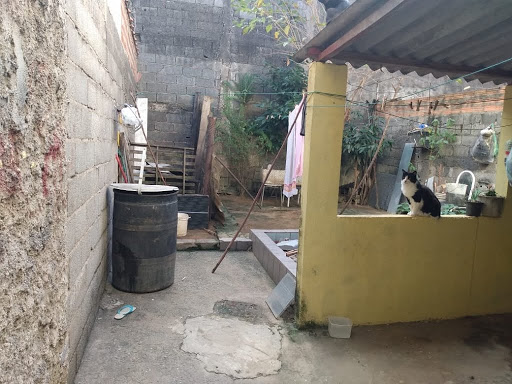 Quintal