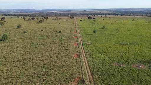 Fazenda em Zona Rural  -  Rochedo