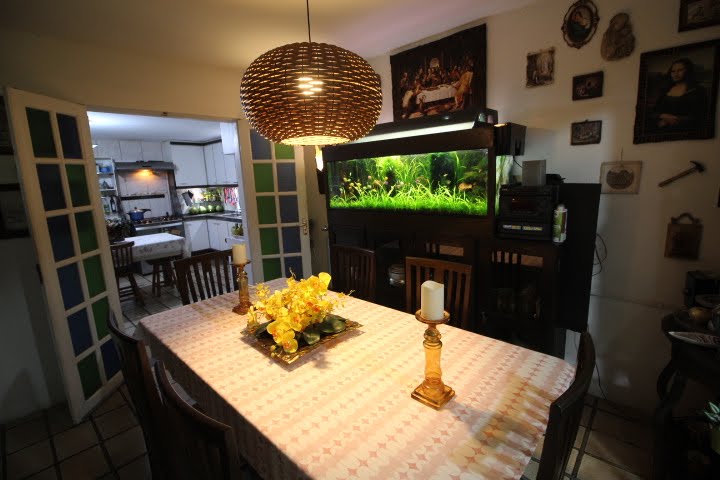 Casa à venda com 4 quartos, 1 suíte, 2 vagas e 364m² no Rosarinho, Recife (PE) — foto 27 de 30