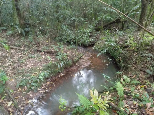Lote / Terreno em Campo Alegre  -  Campo Alegre