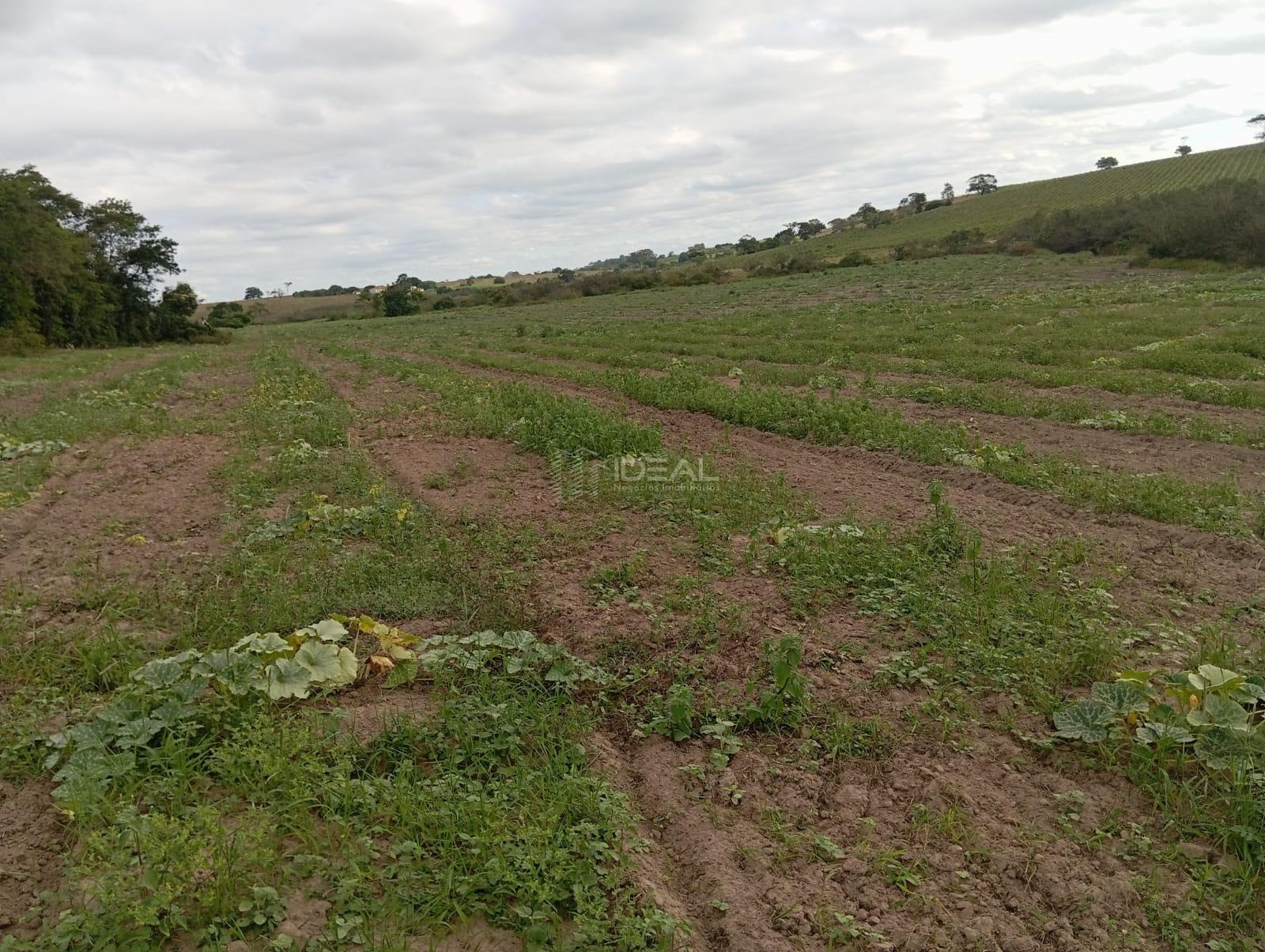 Rural à venda com 1280000m² de terreno no Valão Seco, São Francisco de Itabapoana (RJ) — foto 14 de 30