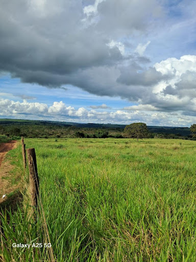 Fazenda em Alvorada - Uberlândia, MG