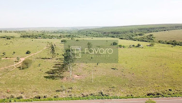 Chácara em Zona Rural  -  Ribas do Rio Pardo