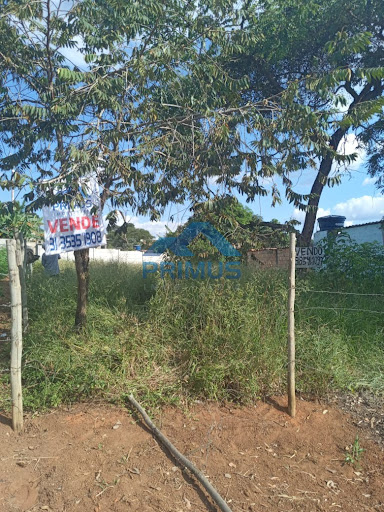 Lote / Terreno em Planalto  -  Mateus Leme