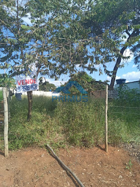 Lote / Terreno em Planalto  -  Mateus Leme