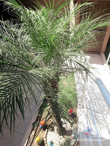 Casa em Residencial das Ilhas - Bragança Paulista, SP