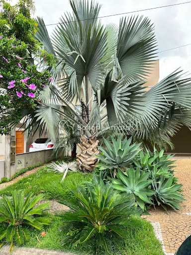 Casa de Condomínio, 3 quartos - Foto 18