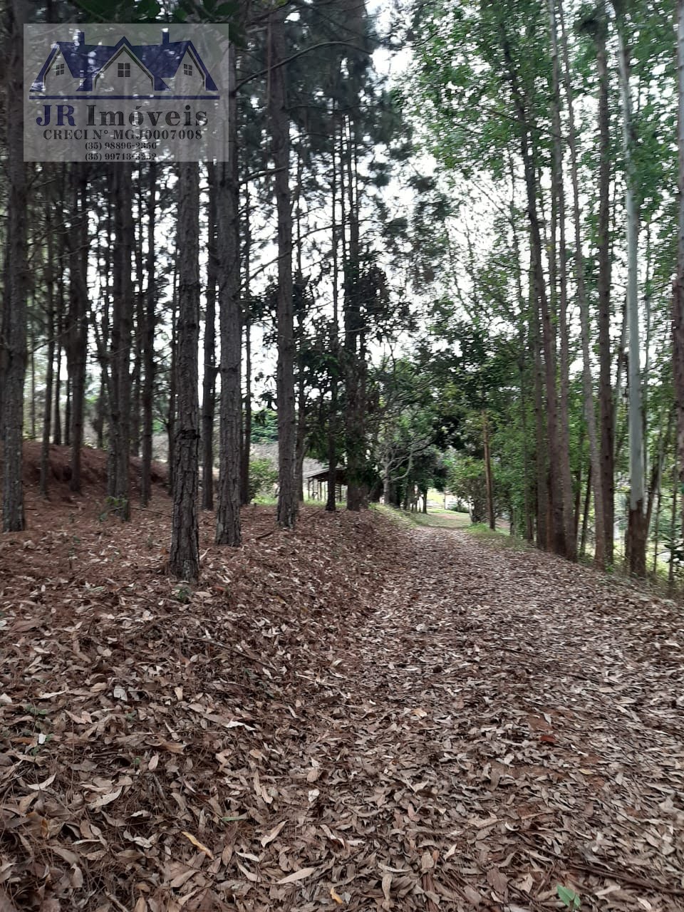 Rural à venda com 12000m² de terreno no Floresta, Pedralva (MG) — foto 16 de 18