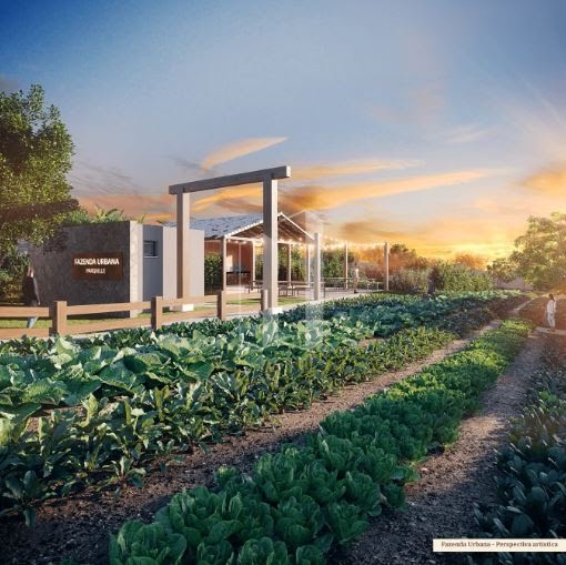 Terreno à venda com 382m² de terreno no Vila Brasília, Aparecida de Goiânia (GO) — foto 11 de 20