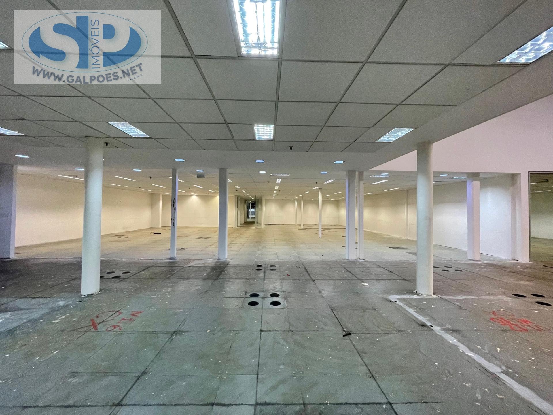 Depósito-Galpão, 3169 m² - Foto 19