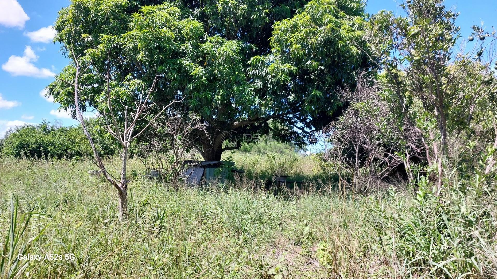 Terreno à venda no Parque Aeroporto, Campos dos Goytacazes (RJ) — foto 8 de 20