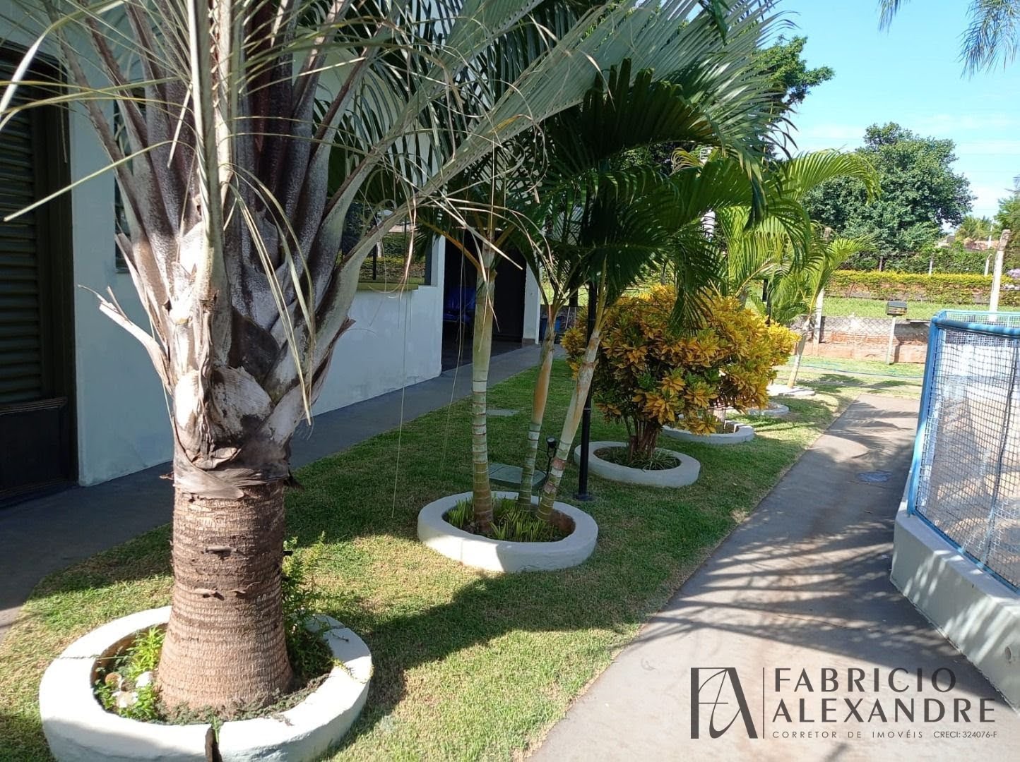 Rural à venda com 1000m² de terreno no Estância Bortoluzzo, Cedral (SP) — foto 21 de 24
