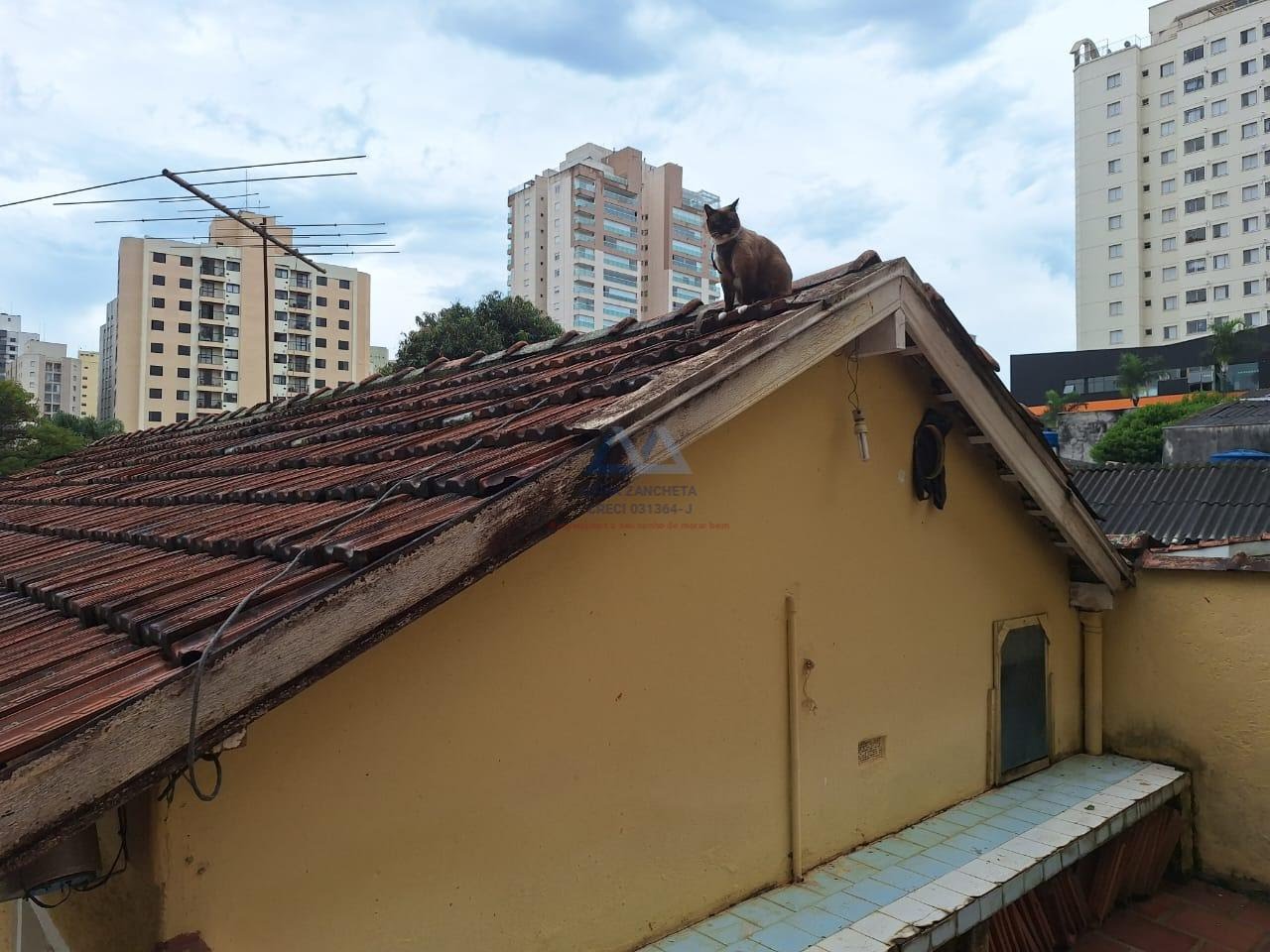 Terreno à venda com 500m² de terreno no Santa Teresinha, São Paulo (SP) — foto 14 de 14