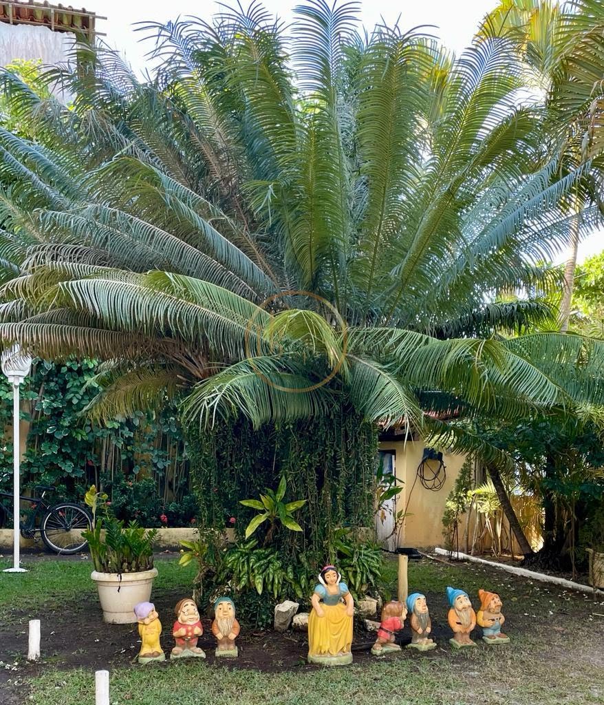 Comercial à venda com 20 banheiros, 10 vagas e 688m² no Village 1, Porto Seguro (BA) — foto 5 de 11