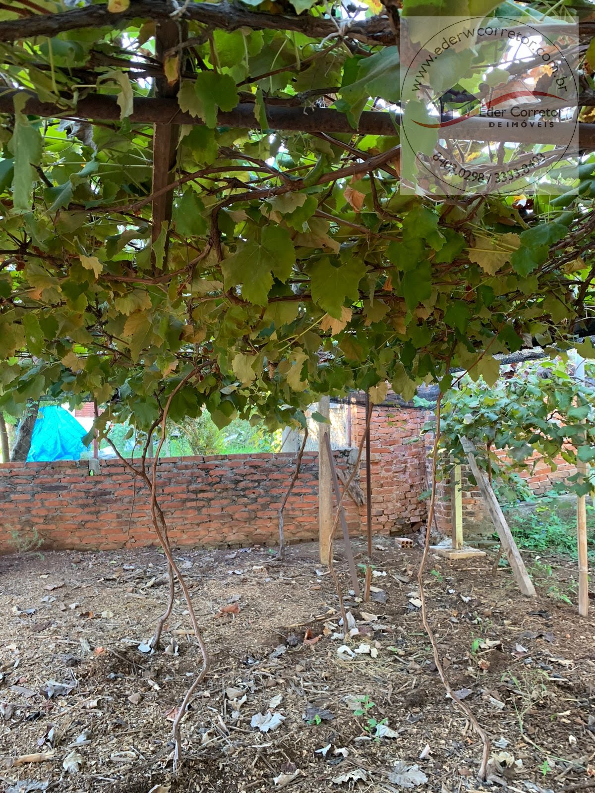 Casa à venda com 3 quartos, 2 banheiros, 1 vaga e 175m² no Tiarajú, Ijuí (RS) — foto 7 de 28