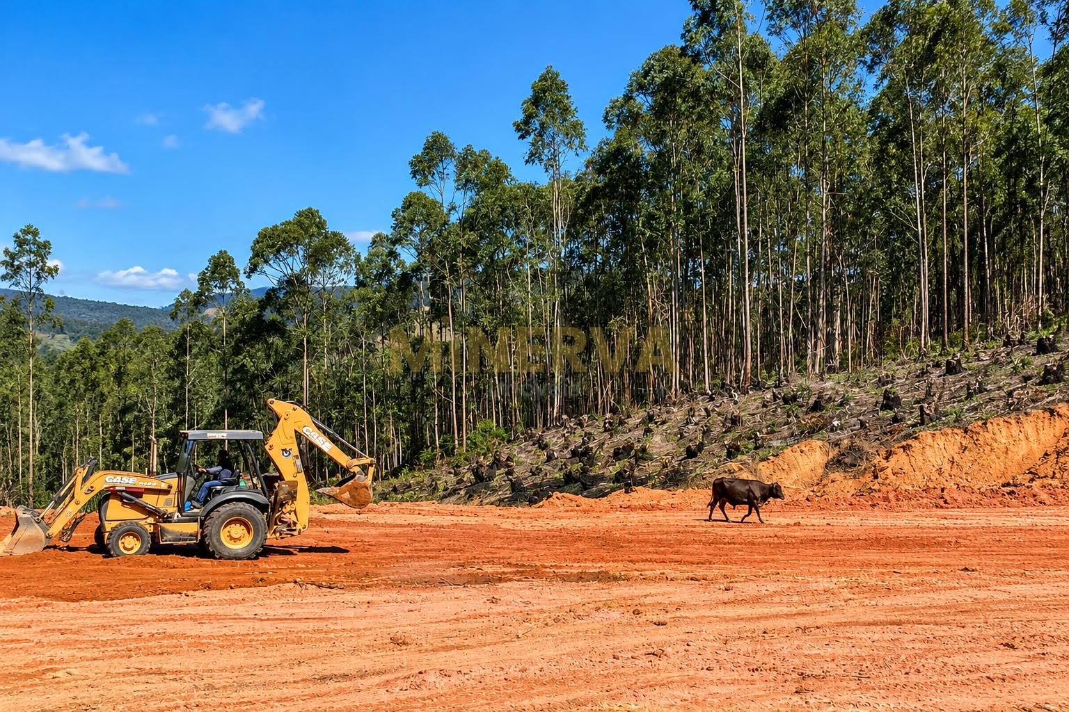 Terreno à venda com 12060m² de terreno no Moinho II, Nazaré Paulista (SP) — foto 3 de 11