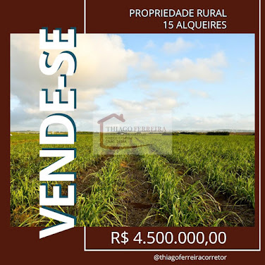 Sítio em Área Rural  -  Santa Rita do Passa Quatro