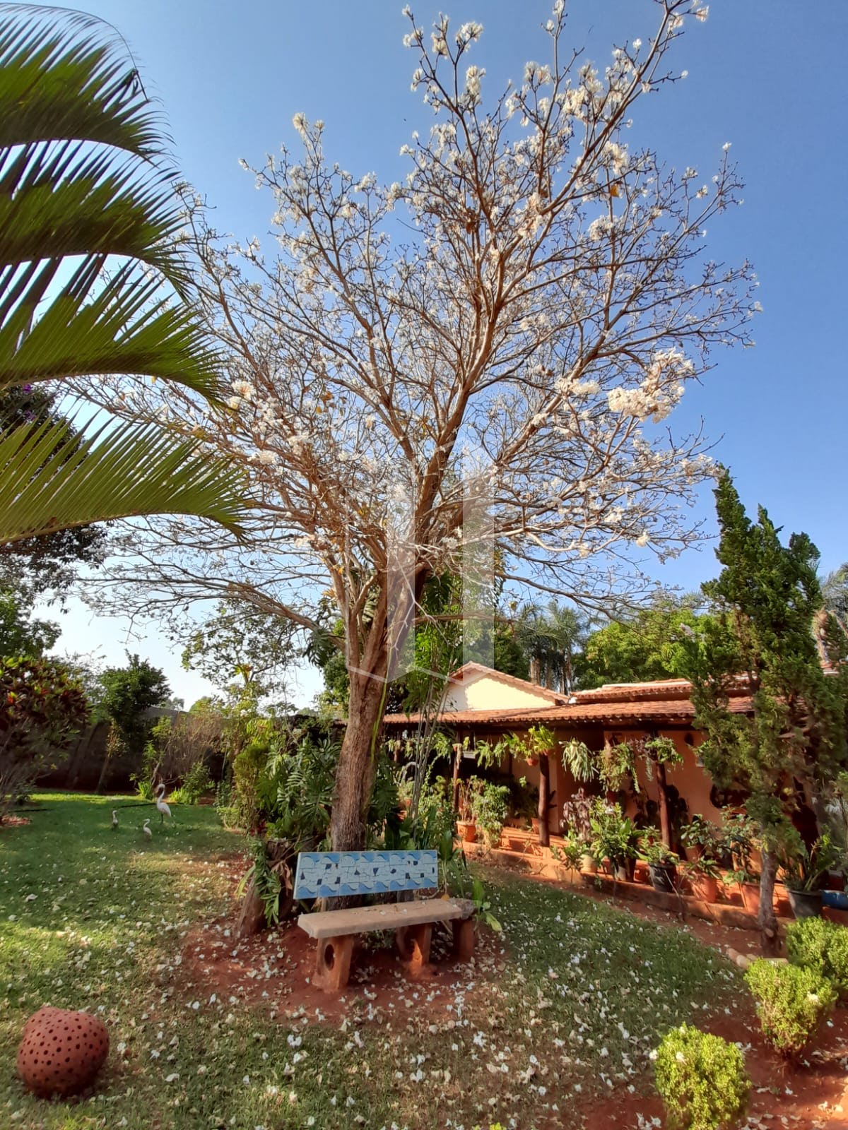 Rural à venda com 1000m² de terreno no Chácaras Vargem Bonita II, Senador Canedo (GO) — foto 17 de 23