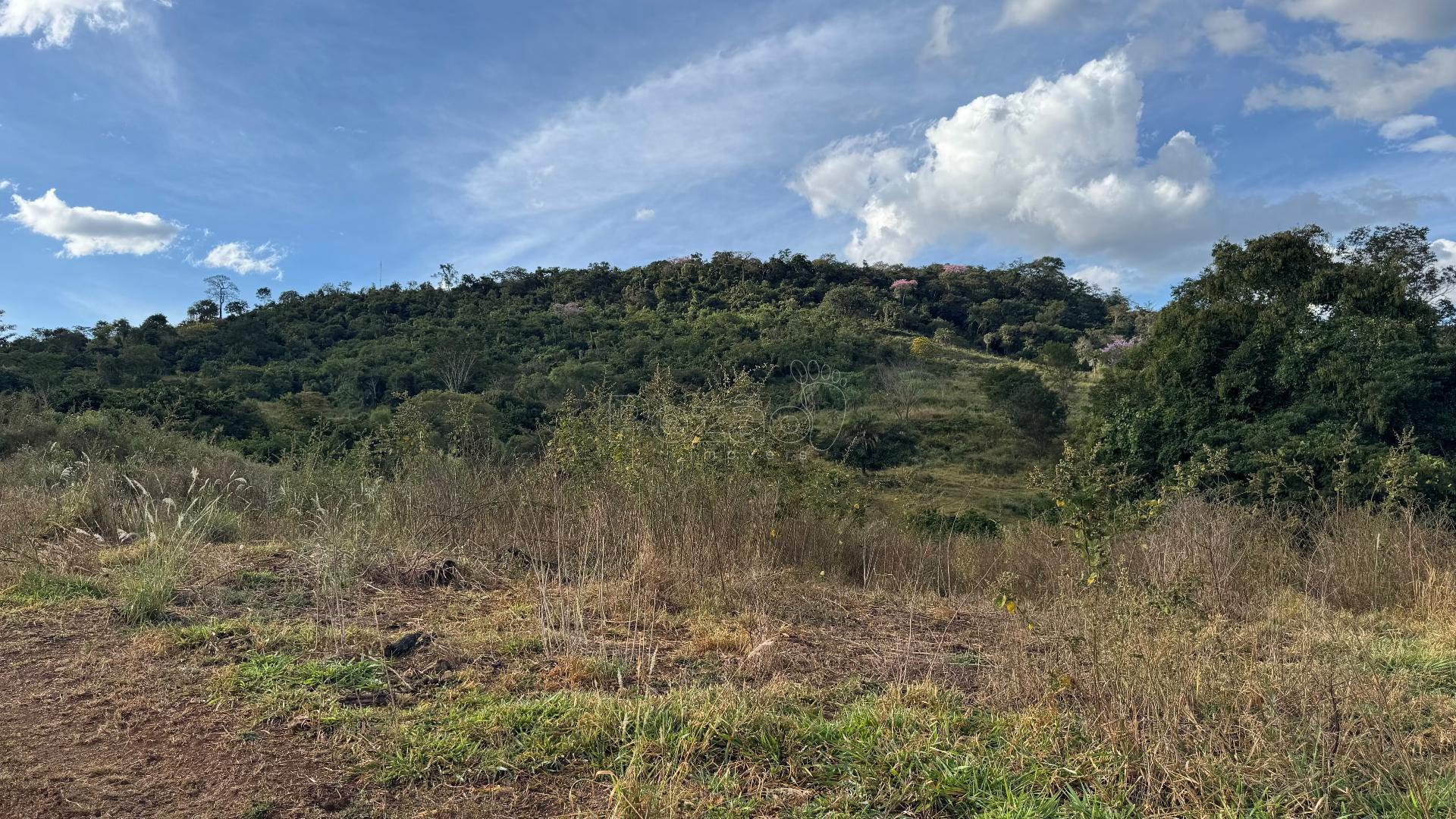 Rural à venda com 308355m² de terreno no Zona Rural de Heitoraí, Heitoraí (GO) — foto 28 de 29