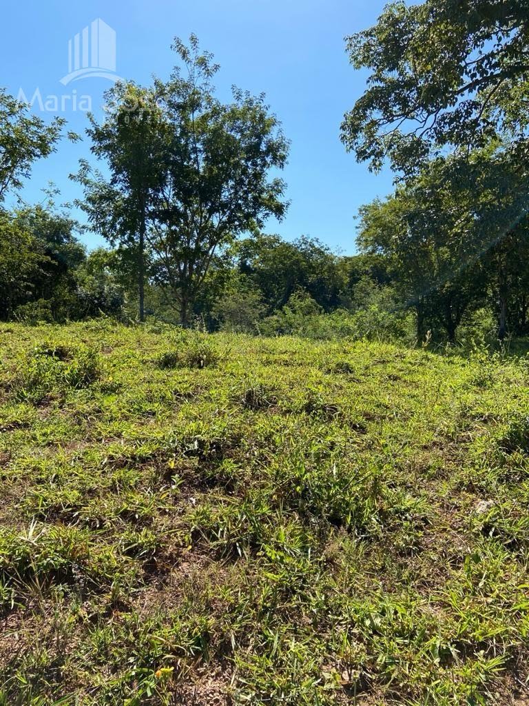 Rural à venda com 2120000m² de terreno no Zona Rural de Paracatu, Paracatu (MG) — foto 29 de 30