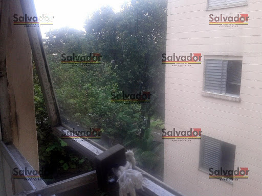 Vista