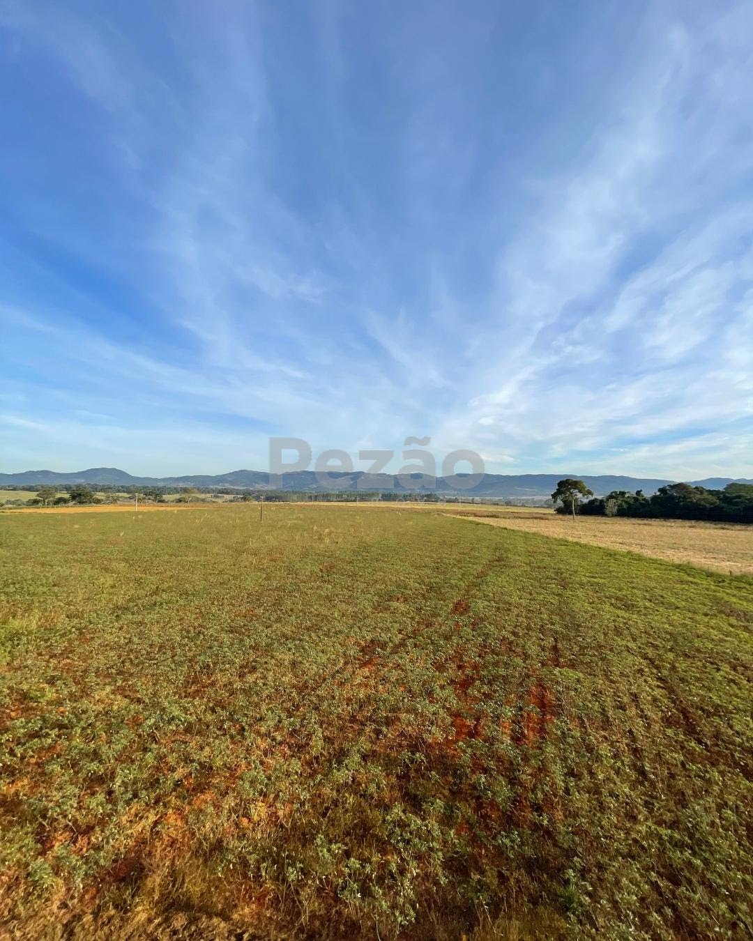 Rural à venda com 150040m² de terreno no Zona Rural de Heitoraí, Heitoraí (GO) — foto 18 de 20