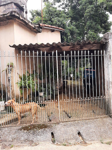 Casa no terreno