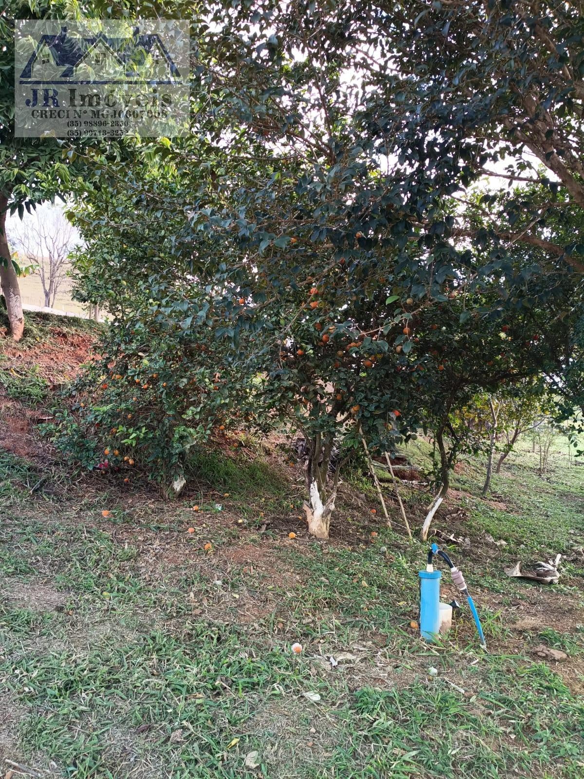 Rural à venda com 1300m² de terreno no Pinhal, São José do Alegre (MG) — foto 9 de 30