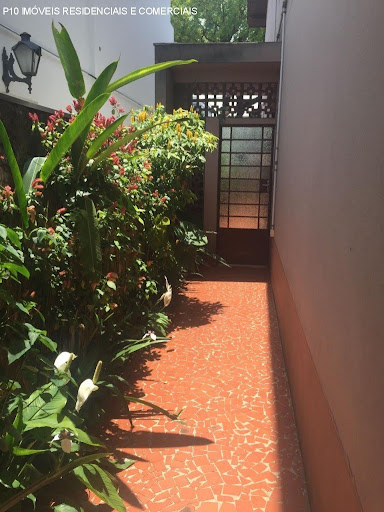 Foto 01
