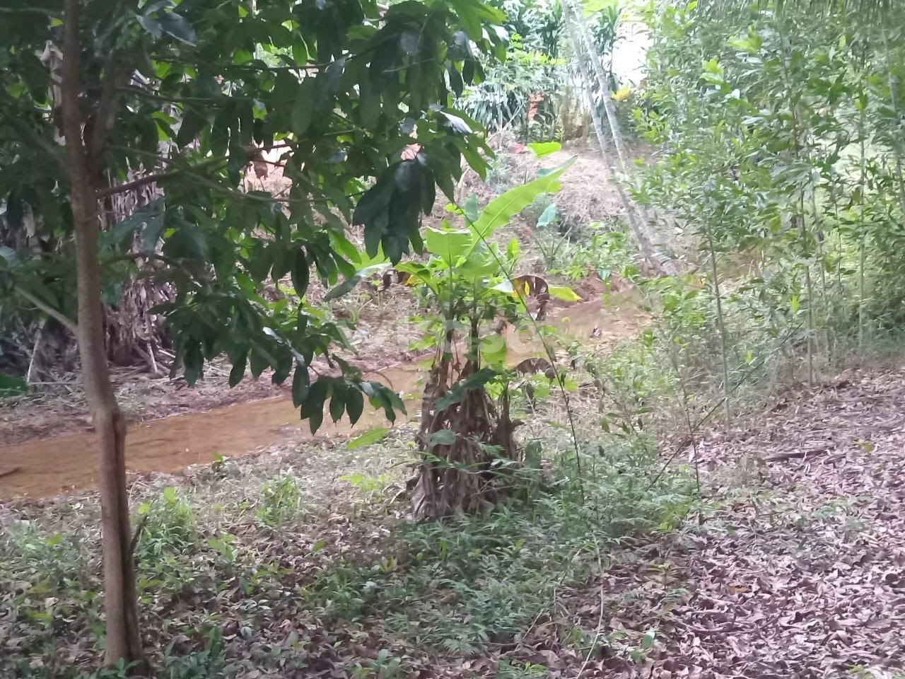 Terreno à venda com 15000m² de terreno no Santo Antônio, Fundão (ES) — foto 9 de 10