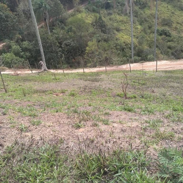 Terreno à venda com 3000m² de terreno no Cachoeira, Santa Isabel (SP) — foto 5 de 7