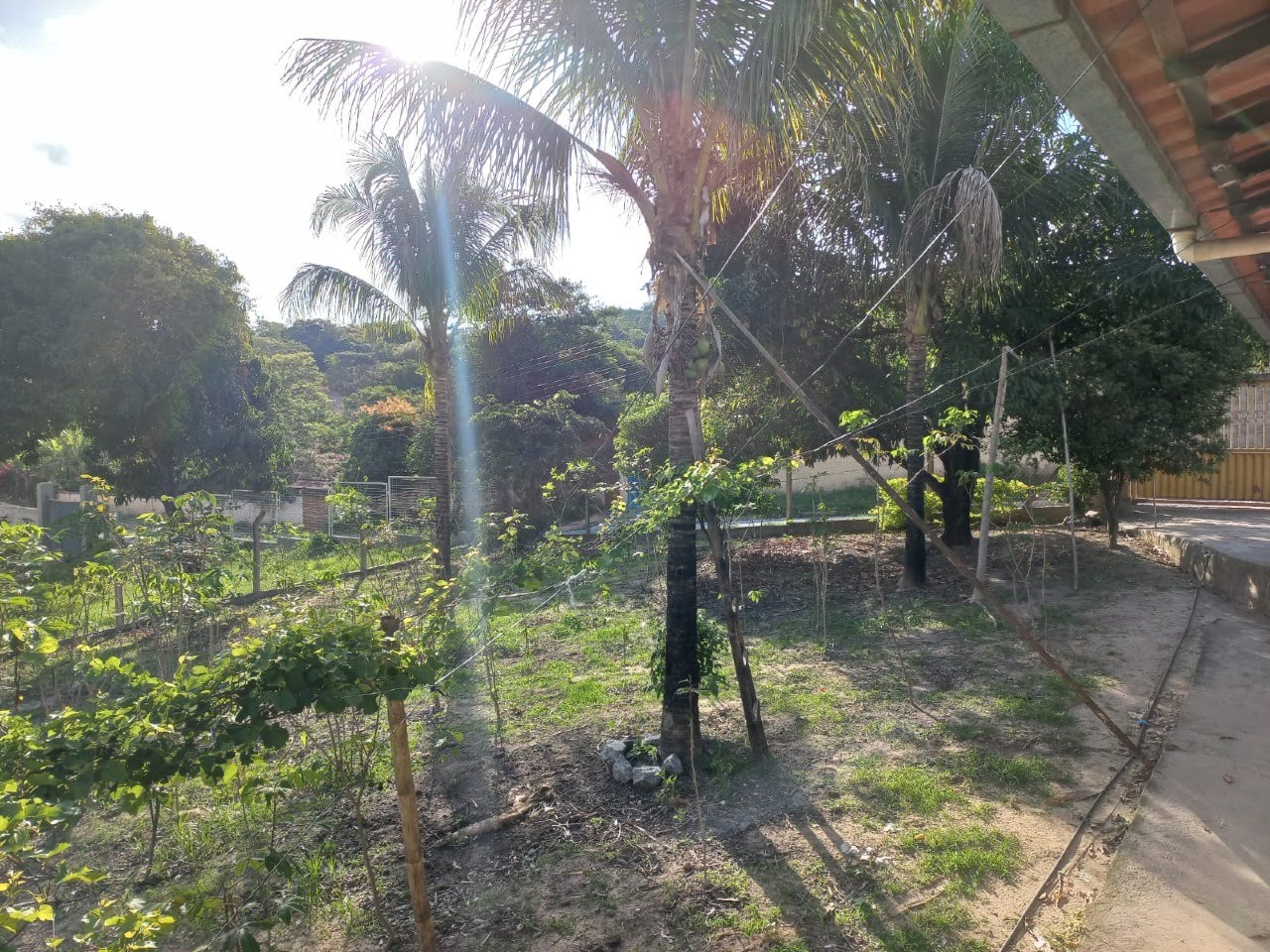 Rural à venda com 6000m² de terreno no Bonanza, Santa Luzia (MG) — foto 11 de 30