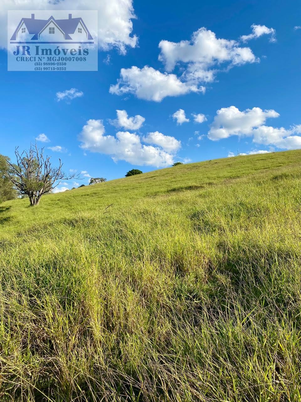 Terreno à venda com 76200m² de terreno no Campinho, Piranguinho (MG) — foto 15 de 20