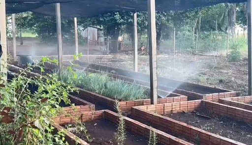 Fazenda em Zona Rural  -  Campo Grande