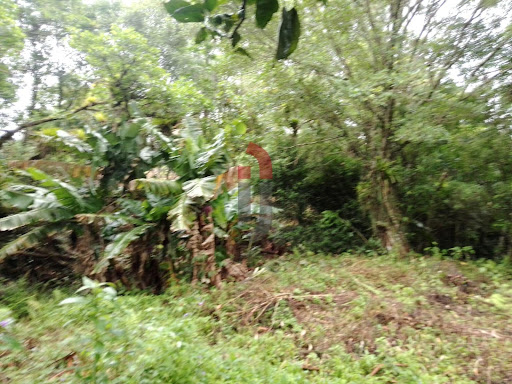 Terreno no Morro  -  Caraá