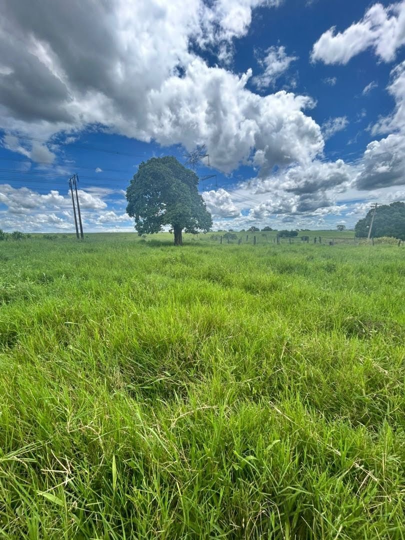 Rural à venda com 20000m² de terreno no Zona Rural, Mirassol (SP) — foto 10 de 27