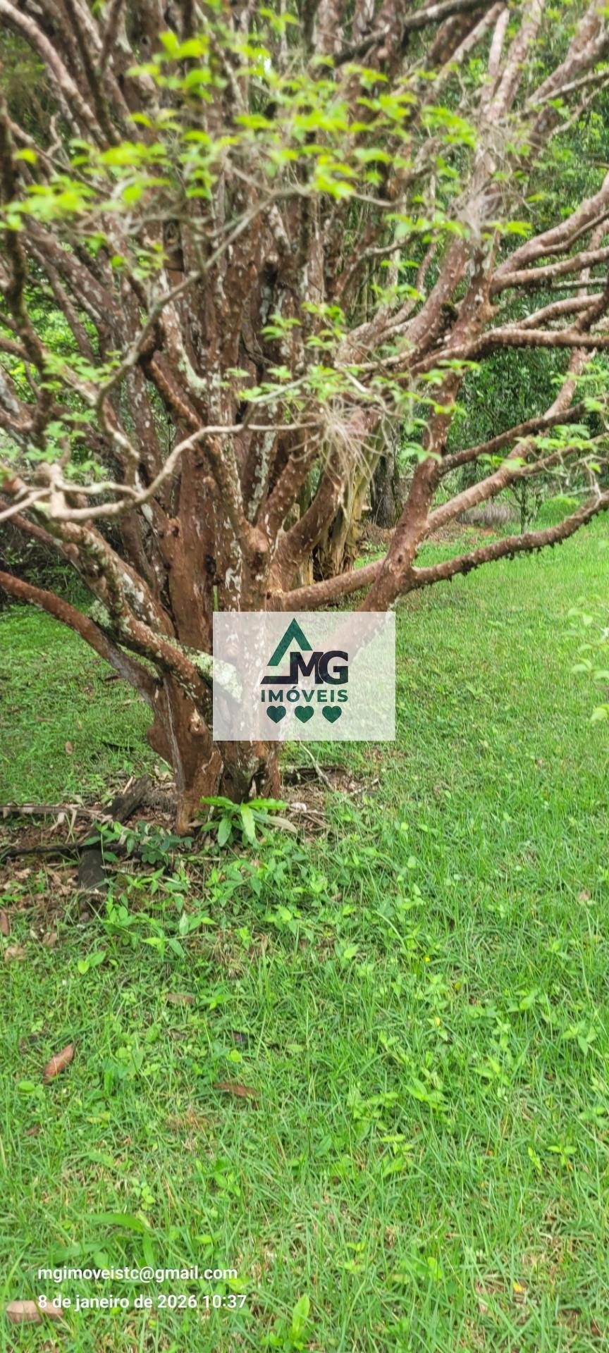 Casa à venda com 3 quartos, 1 suíte e 164m² no Marimbeiro, Cambuquira (MG) — foto 5 de 30