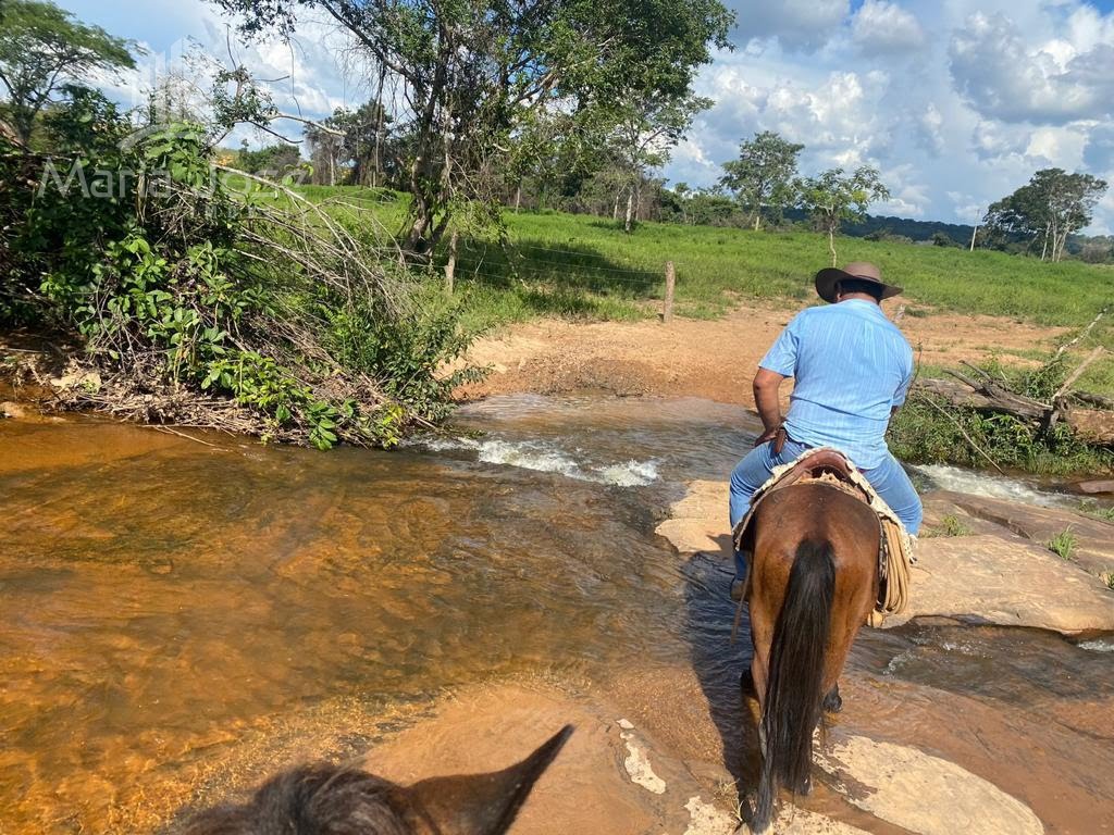 Rural à venda com 8930000m² de terreno no Zona Rural de Três Marias, Três Marias (MG) — foto 7 de 30