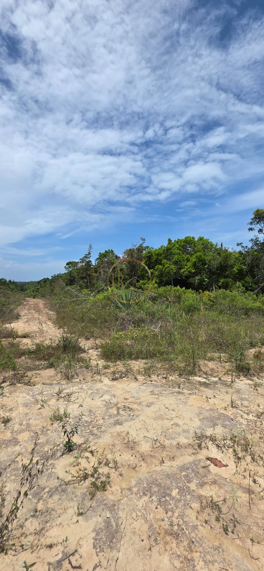 Terreno à venda com 1800m² de terreno no Praia dos Lenções, Santa Cruz Cabrália (BA) — foto 12 de 16