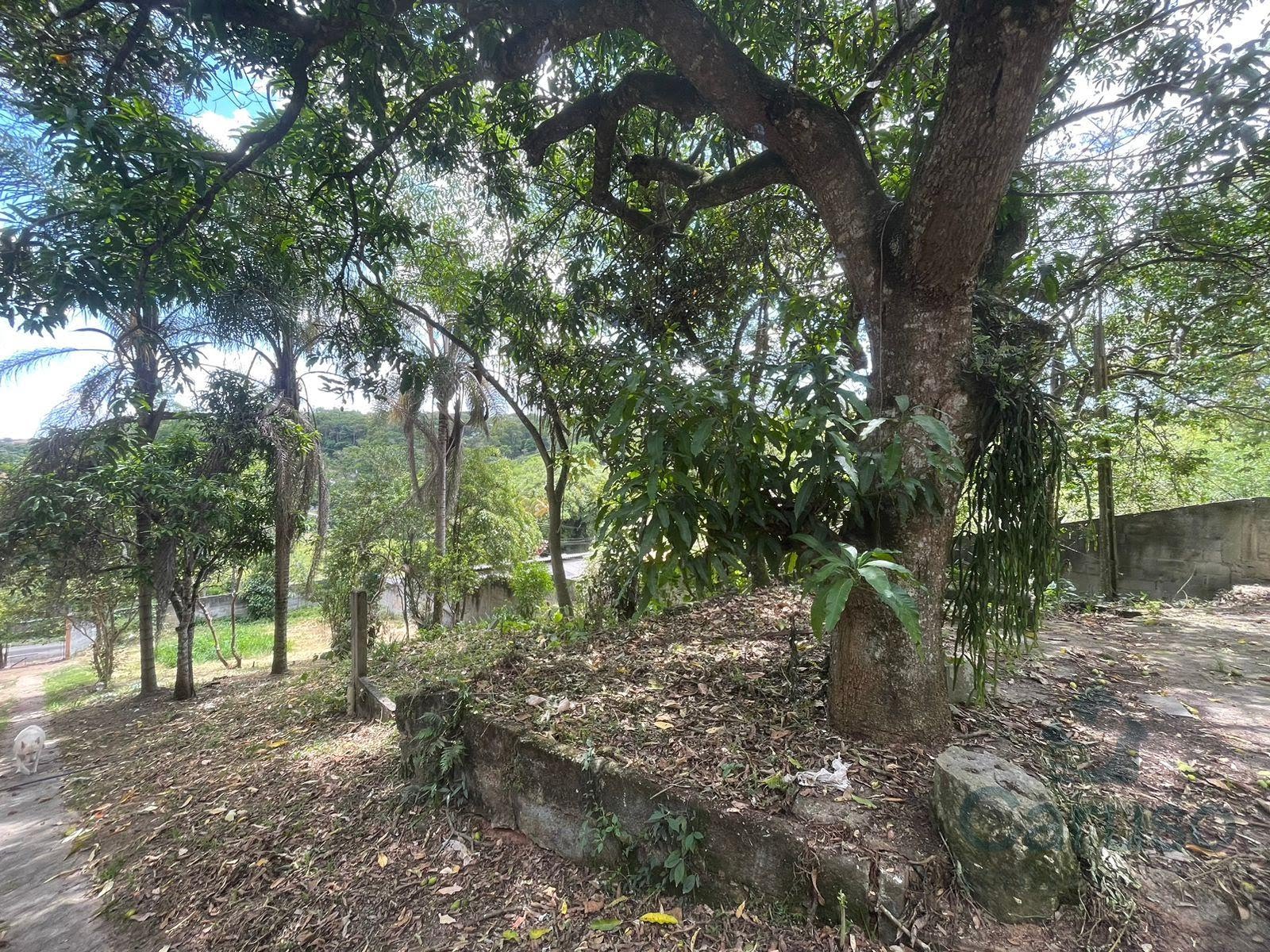 Terreno à venda no Tupã, Arujá (SP) — foto 6 de 6