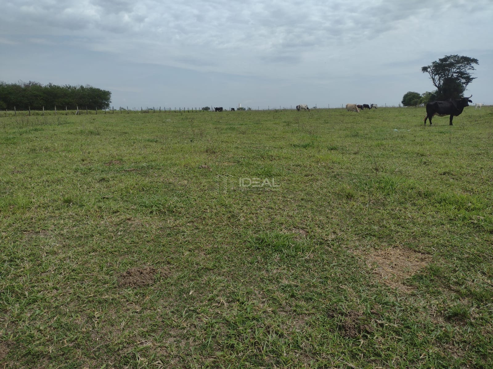Rural à venda com 34810m² de terreno no Parque Aeroporto, Campos dos Goytacazes (RJ) — foto 18 de 20