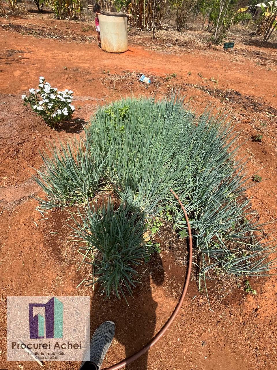 Rural à venda com 5000m² de terreno no Rajadunha I, Brasília (DF) — foto 20 de 21