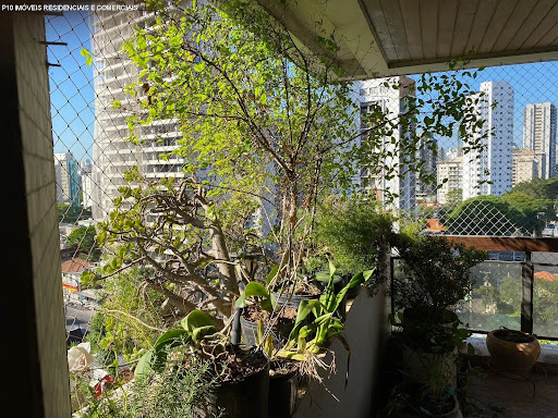 Foto 03