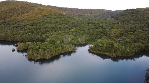 Fazenda em Zona Rural  -  Uberlândia