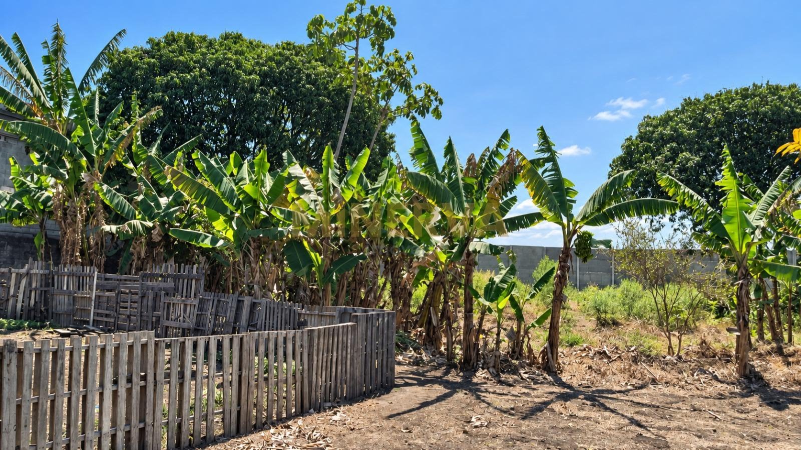 Terreno à venda com 6000m² de terreno no Jardim Presidente Dutra, Guarulhos (SP) — foto 5 de 7