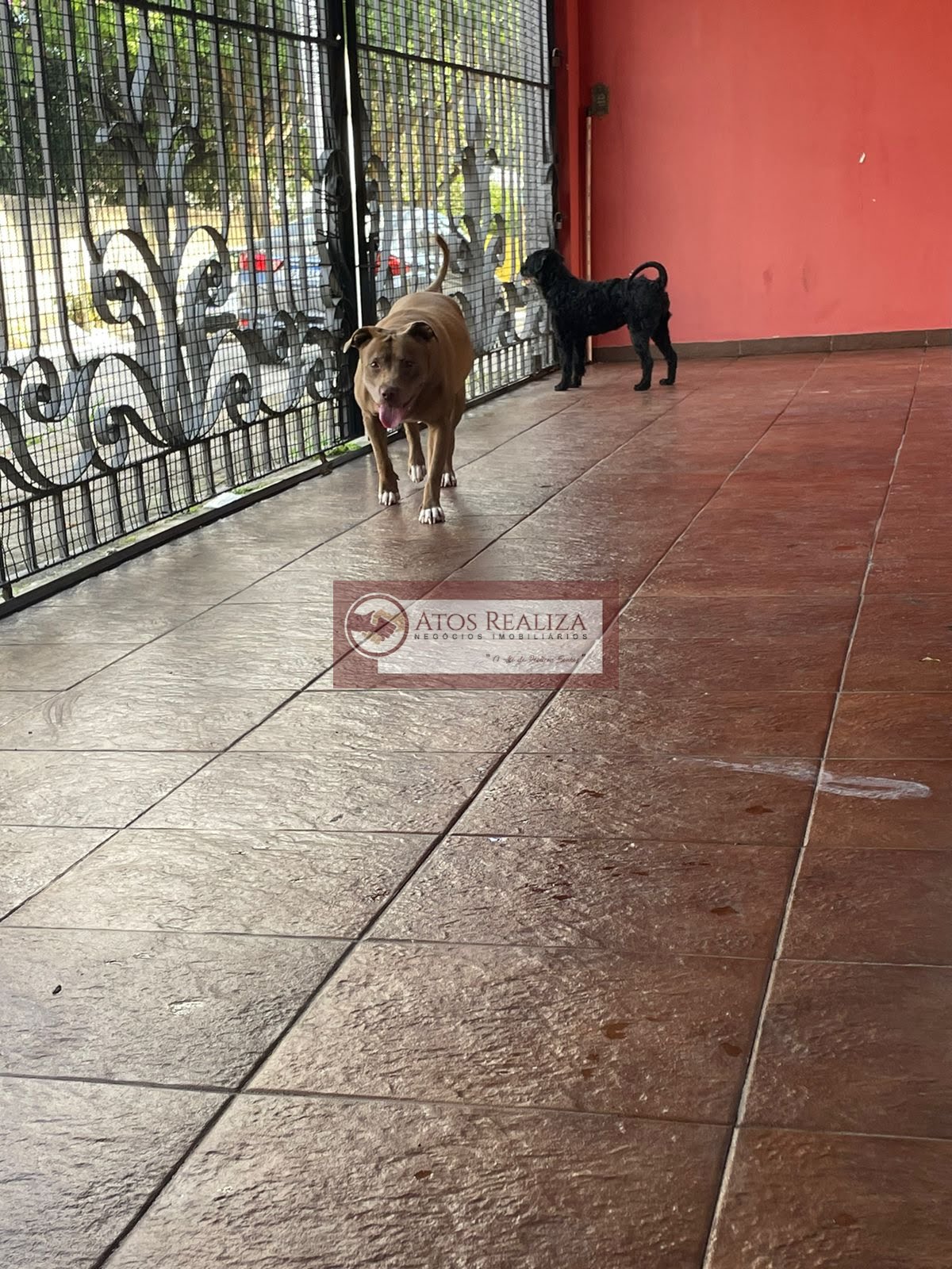 Casa à venda com 4 quartos, 2 suítes, 5 vagas e 250m² no Cidade Dutra, São Paulo (SP) — foto 25 de 30