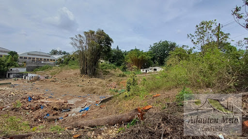 Lote / Terreno em Itaquera Colônia (Zona Leste)  -  São Paulo