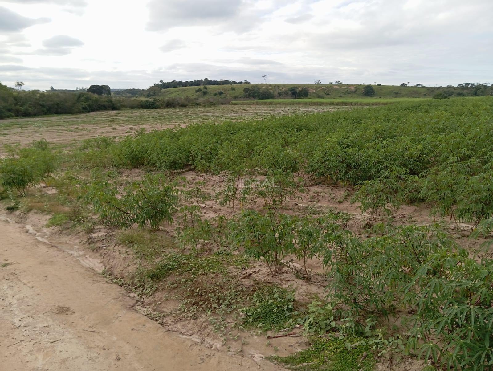 Rural à venda com 1280000m² de terreno no Valão Seco, São Francisco de Itabapoana (RJ) — foto 22 de 30