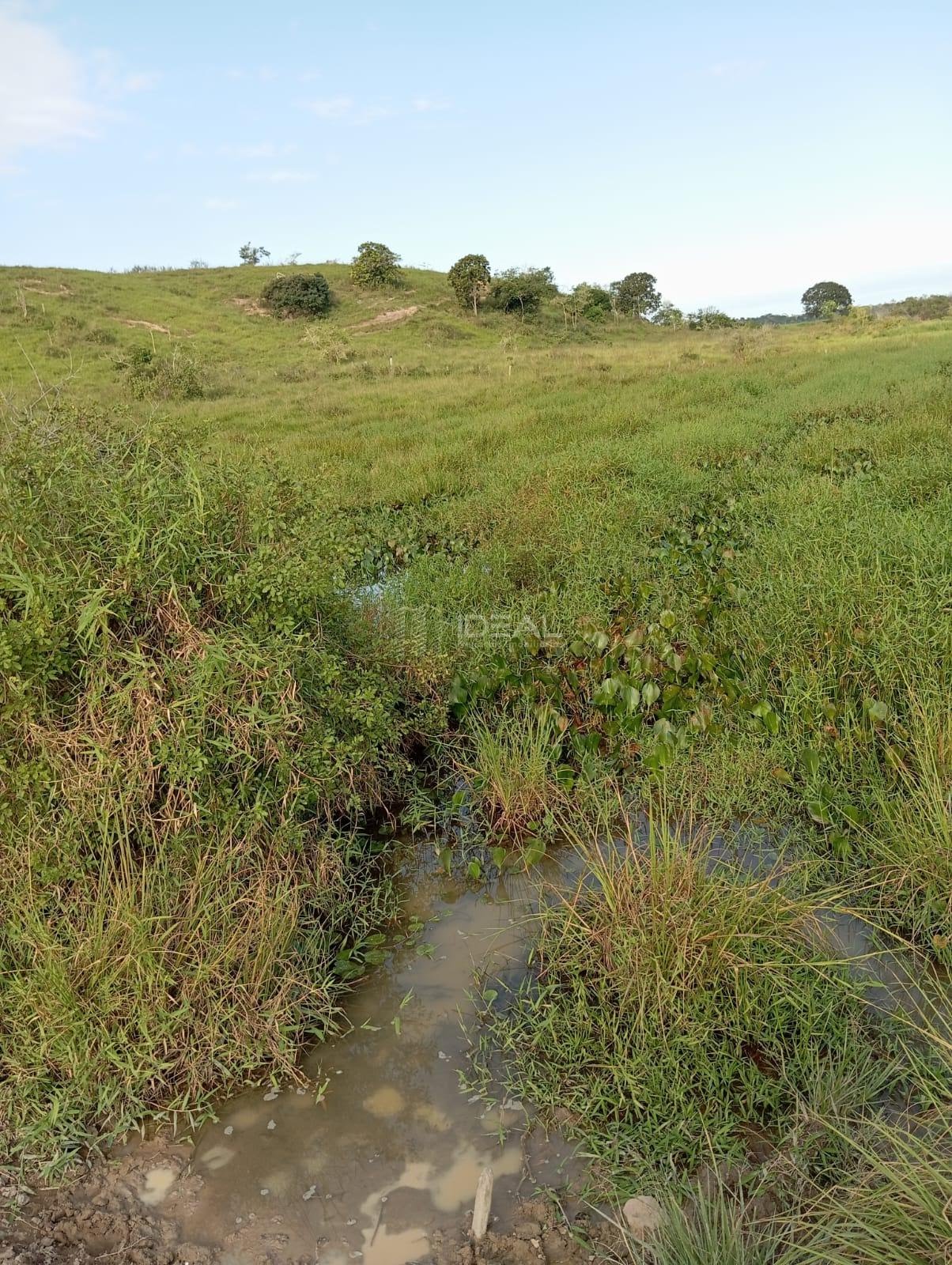 Rural à venda com 1280000m² de terreno no Valão Seco, São Francisco de Itabapoana (RJ) — foto 9 de 30