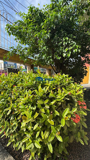  APARTAMENTO JARDIM GUANABARA